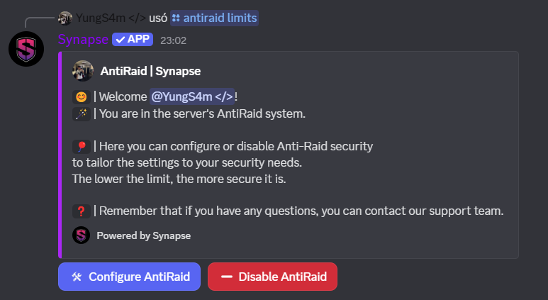 Preview Anti-Raid Command